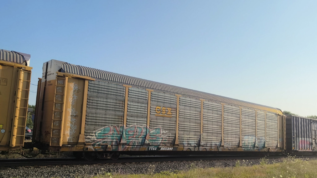 CSX B11377 (Body) TTGX 993300 (Flat)